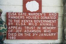 Tafel für Joy Adamson-Die Löwin Elsa